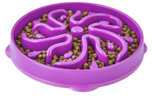 Purple cat or dog puzzle feeder bowl