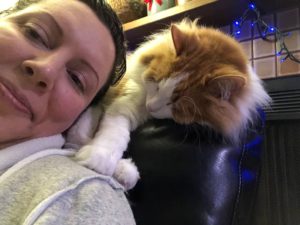 My Norwegian Forest Cat Asleep on the Back of My Chair