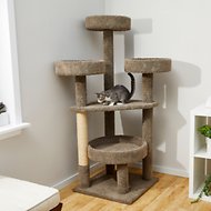 65 inch tall, brown, carpeted cat tree for large cats